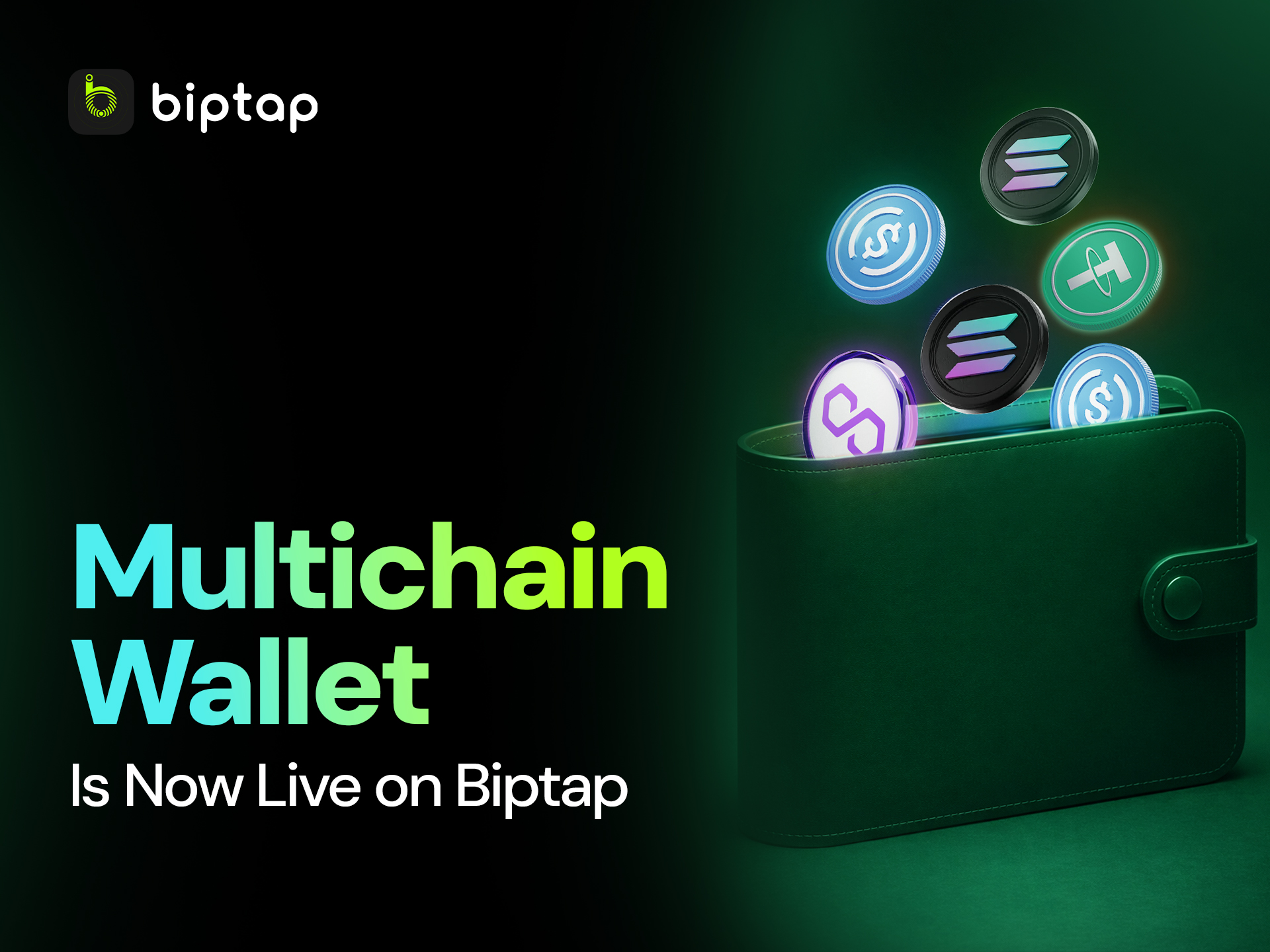 Biptap Multichain Wallet